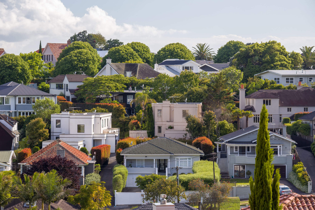 Expert Property Buyers Agent in Sydney's Inner West Buyers Domain